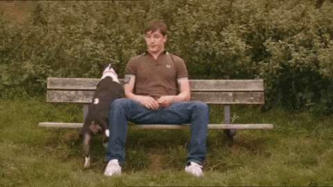 Tom Hardy Loves Dogs See Photos Of The Actor With His